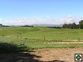 thn_NZ leden-unor 2006 116.jpg